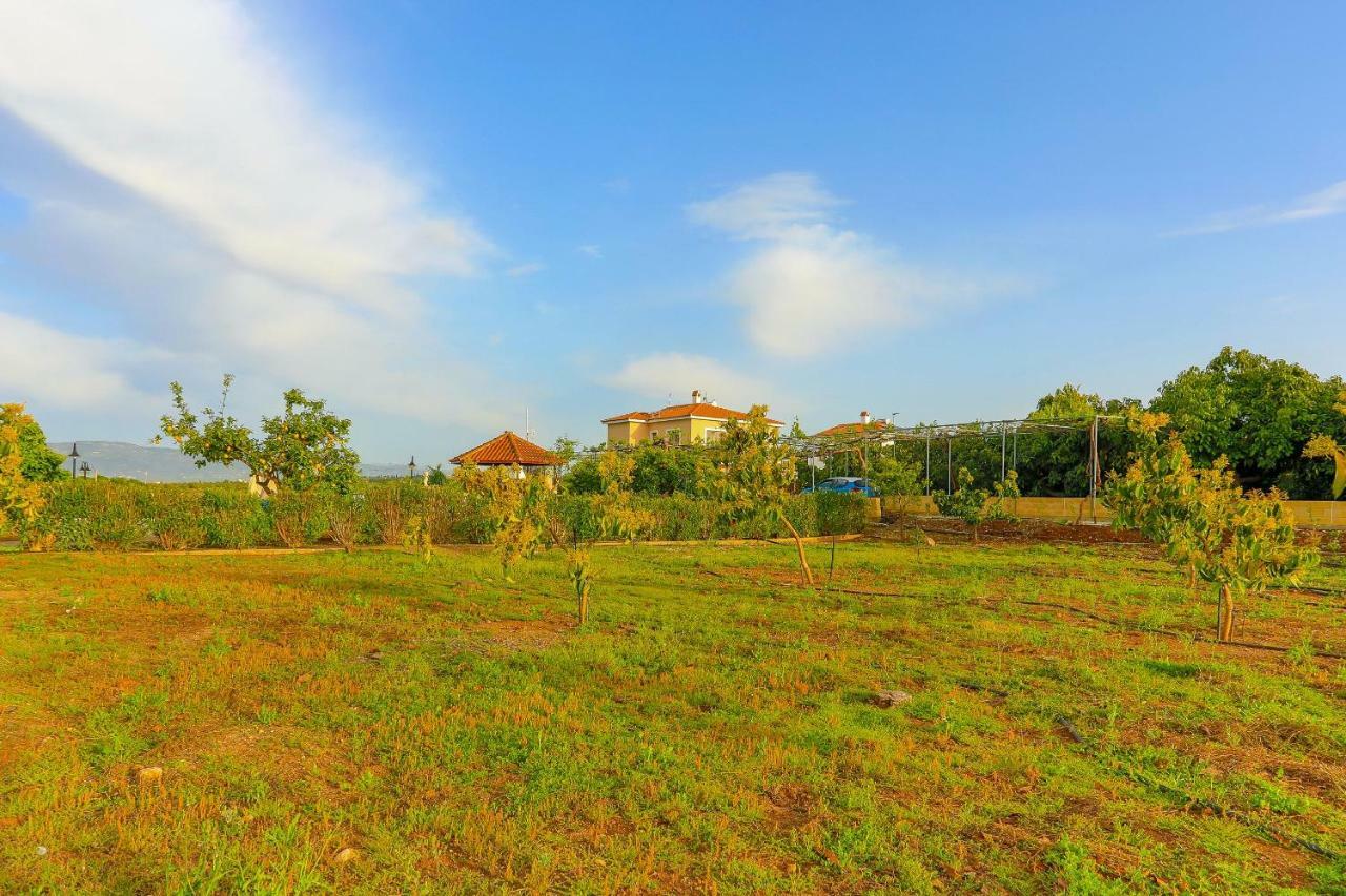 Villa Athina Finiki Polis Eksteriør billede